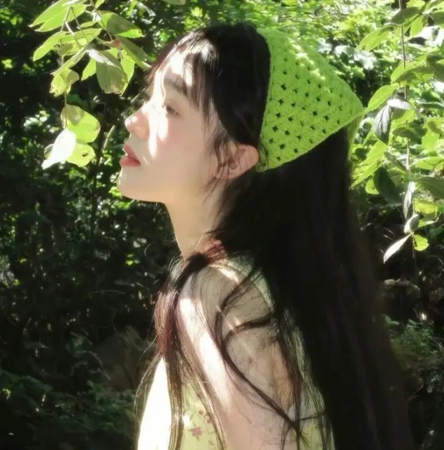 第一夫人的秘密