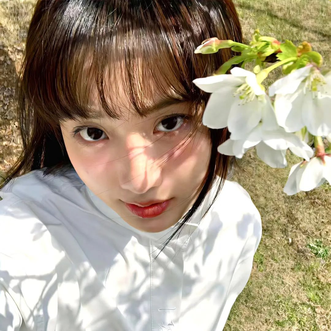 万物友灵