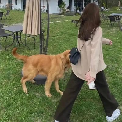 逗留的爱情